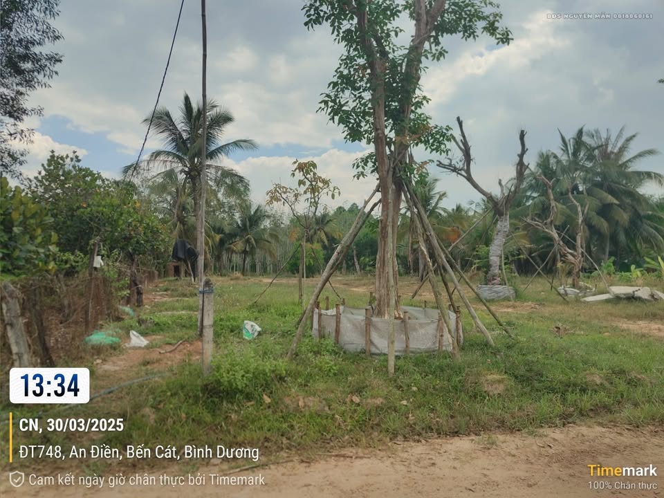 Đất nền An Điền, Bến Cát 768m² giá 3.5 tỷ - Cơ hội đầu tư hấp dẫn!