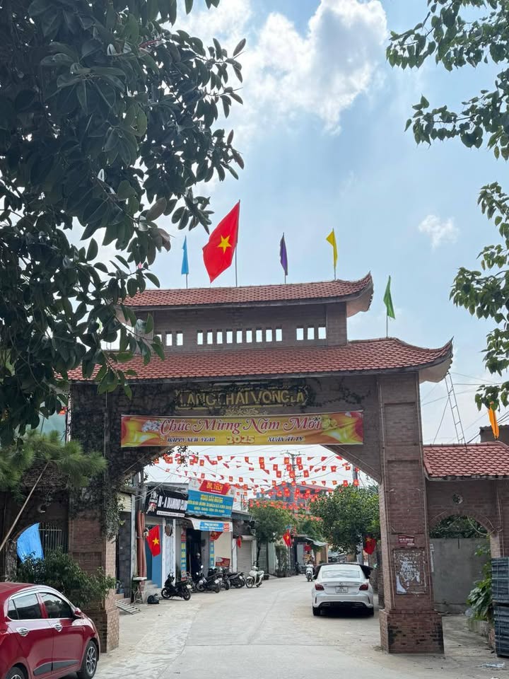 Đất Võng La Đông Anh 741m² - Chính chủ bán gấp, giá thỏa thuận!