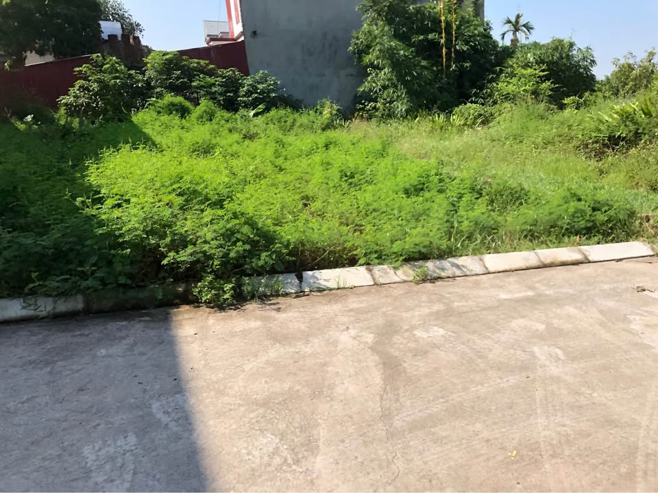 Đất nền Minh Phú, Sóc Sơn 114m² - Đường rộng, dân cư đông đúc!