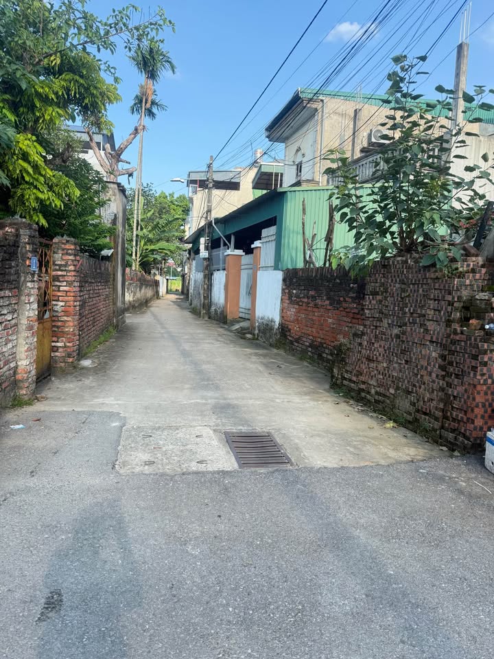 Đất Đặng Xá 52m² giá 4 tỷ - Ô tô vào tận nhà, vị trí đắc địa!