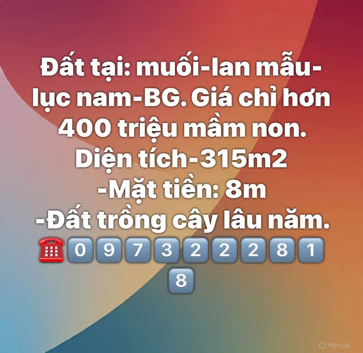 Đất nền Lan Mẫu, Lục Nam 315m² giá chỉ 400 triệu - Đầu tư sinh lời ngay!