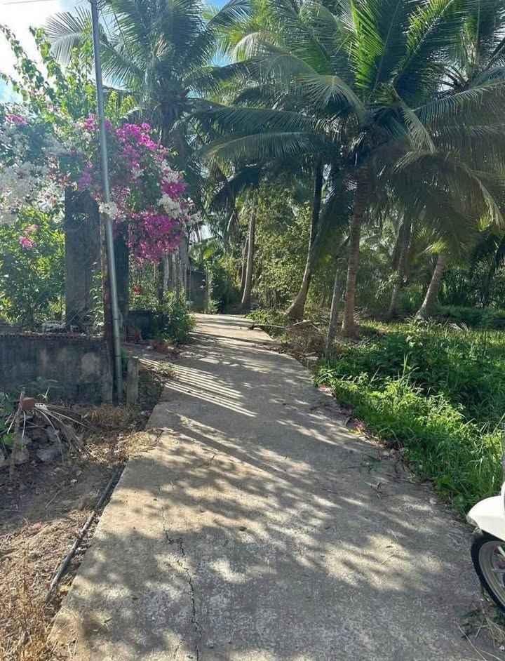 Đất nền biệt thự phường An Hội, Bến Tre 320m² giá 749 triệu - Vị trí tiềm năng phát triển!