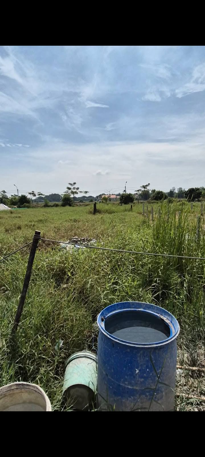 Lô đất thổ cư Tân Ân, Cần Đước 110m² giá 500 triệu - Đường xe hơi tới đất!