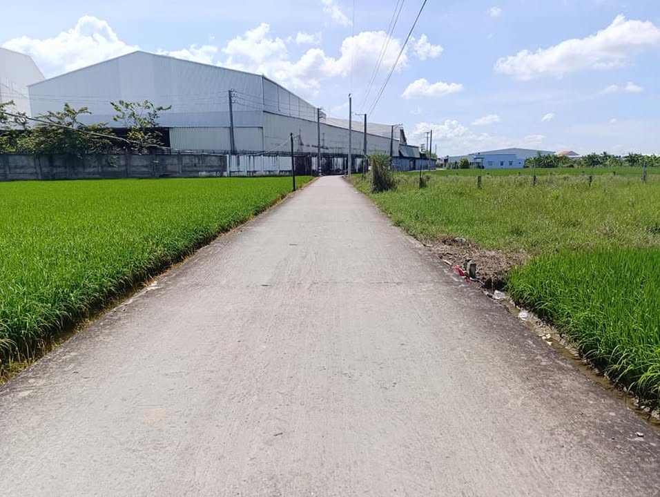 Đất thổ cư 125m² giá 550 triệu - Mặt tiền đường Nguyễn Văn Thọ, Long An!