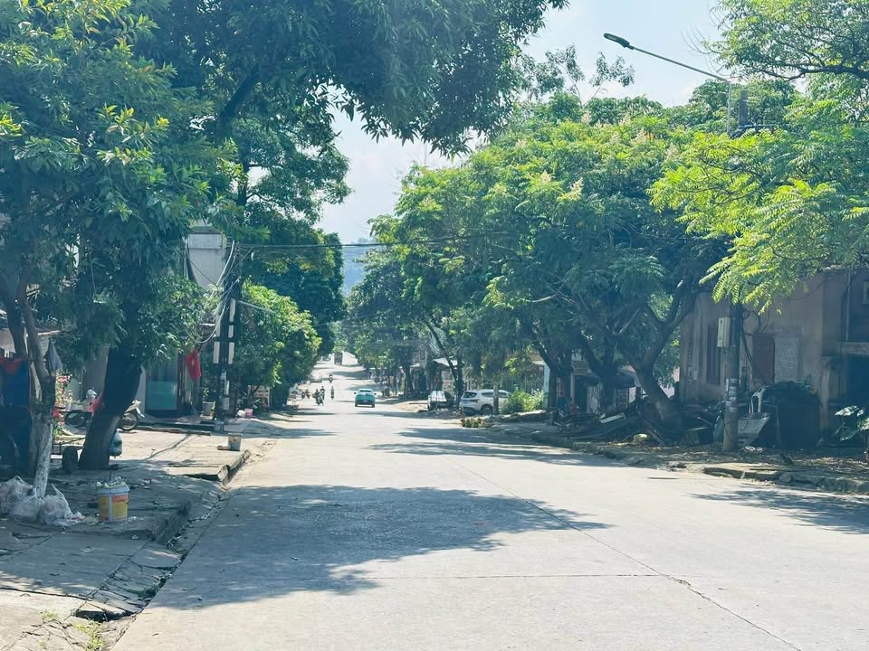 Dãy trọ 370m² đường Nhạc Sơn, Lào Cai giá 4.2 tỷ - Đầu tư sinh lời hấp dẫn!