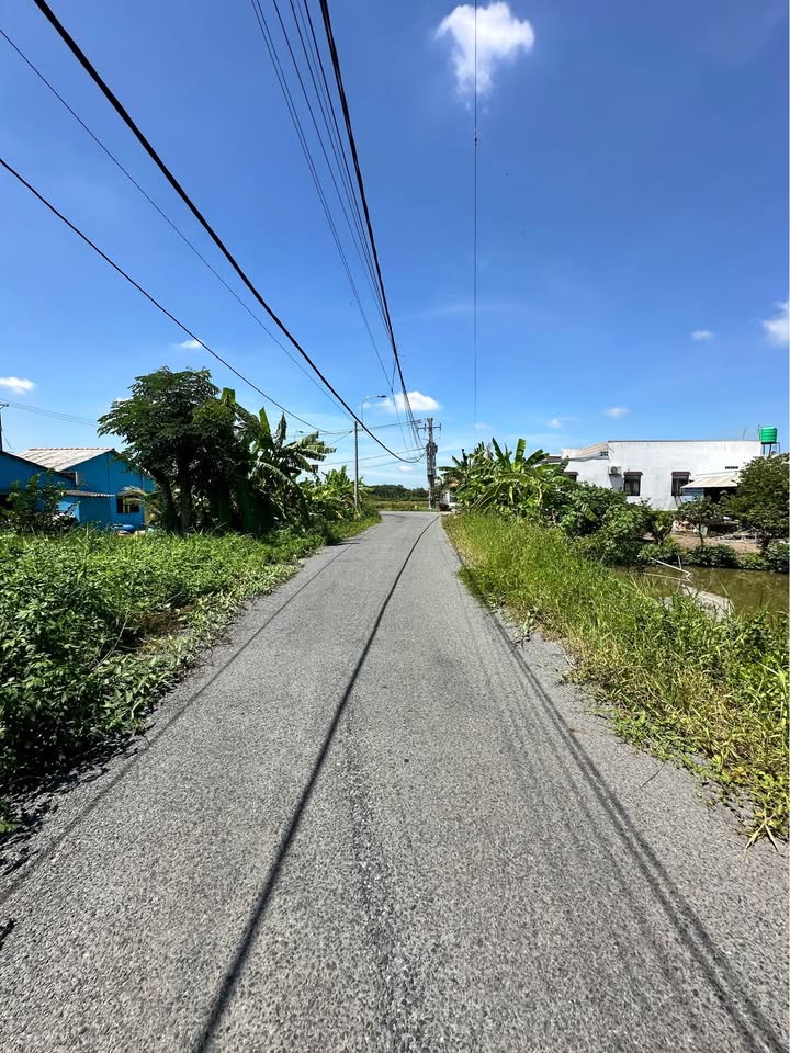 Đất thổ cư đường Quách Văn Tuấn, Tân An 96m² giá 1.18 tỷ - Đầu tư sinh lời ngay!