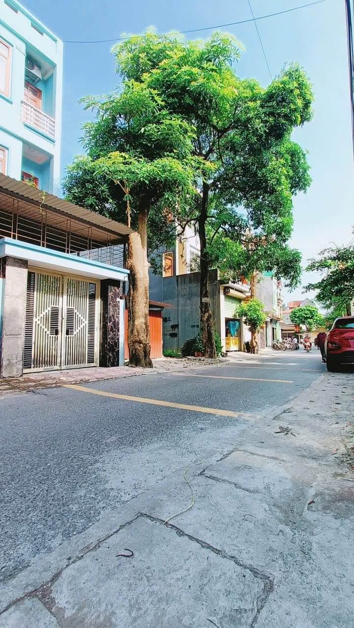 Đất nền thương mại Đấu Mã, Thị Cầu 79m² giá 4 tỷ - Kinh doanh thoải mái!