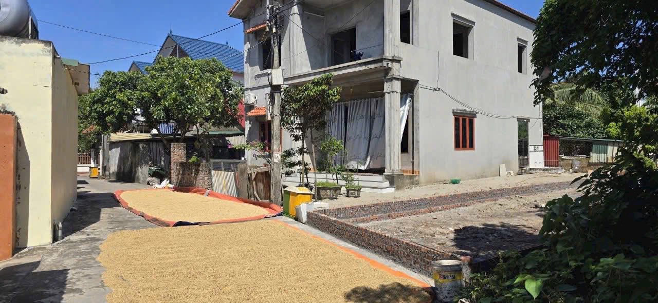 Đất Bến Long, Song Liễu 100m² giá 4.2 tỷ - Sổ đỏ chính chủ, đầu tư sinh lời!