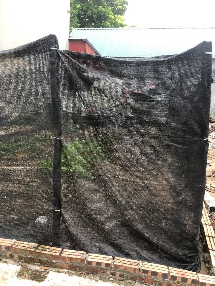 Đất Ninh Xá - Thuận Thành 56m² giá 1.6 tỷ - Vị trí đẹp, đầu tư sinh lời!