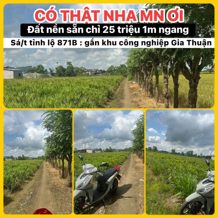 Đất nền Gia Thuận Gò Công Đông 480m² giá 800 triệu - Vị trí đắc địa, đầu tư sinh lời!