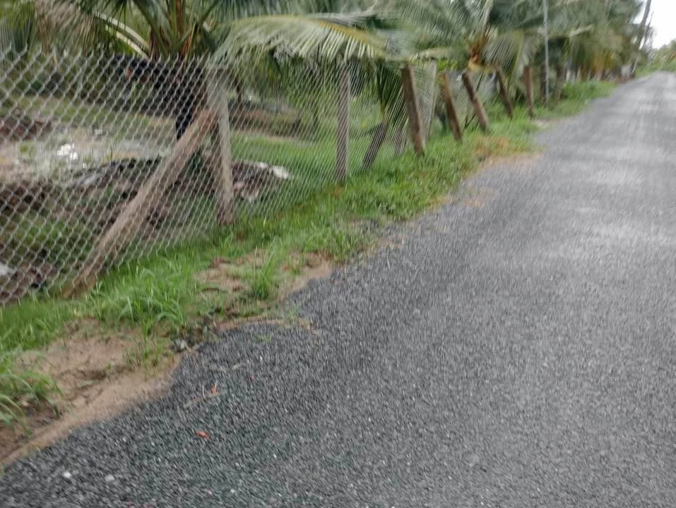 Đất nền mặt tiền nhựa xã Trung Hòa, Chợ Gạo, 480m² - Giá chỉ 750 triệu VND!