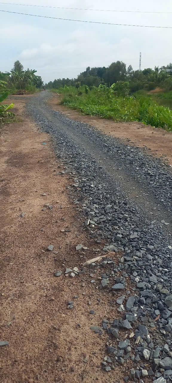 Đất trồng khoai mỡ 11000m² tại Thủy Đông, Thạnh Hóa, Long An - Giá 1.25 tỷ, cơ hội đầu tư hấp dẫn!