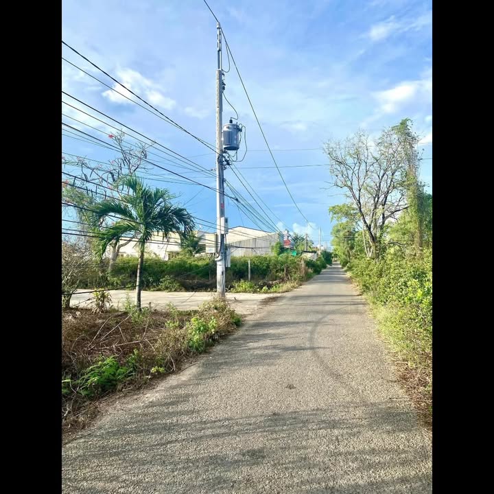 Đất nền Đặng Văn Tiếu Phường 2 Bạc Liêu 100m² giá 590 triệu - Đầu tư sinh lời ngay!