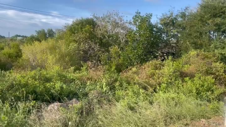 Đất mặt tiền đường DH 36, xã Vĩnh Hậu, Bạc Liêu 550m² - Đầu tư sinh lời ngay!