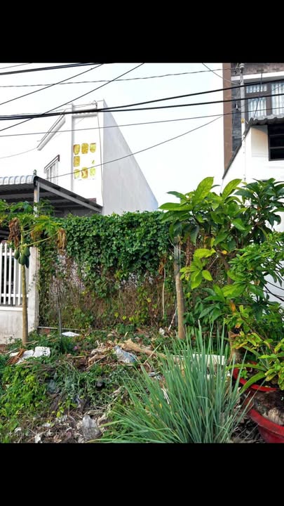 Đất nền mặt tiền đường Lê Thiết Hùng, Bạc Liêu 80m² giá 1.05 tỷ - Đầu tư sinh lời ngay!