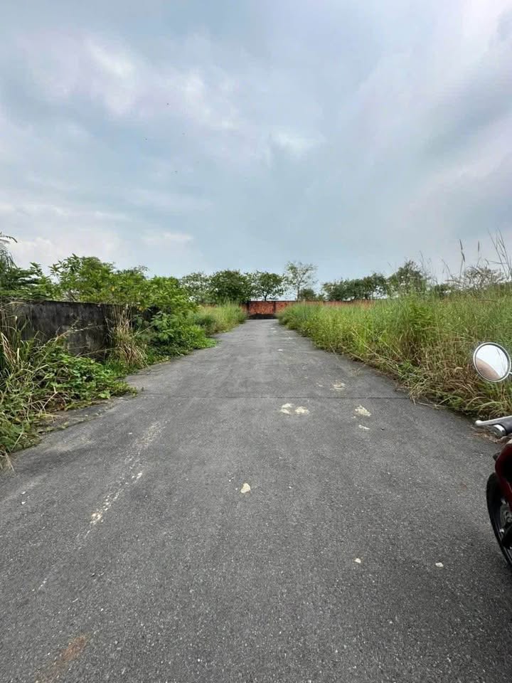 Đất nền Giang Điền 99m² giá 800 triệu - Sổ đỏ chính chủ, vị trí đắc địa!