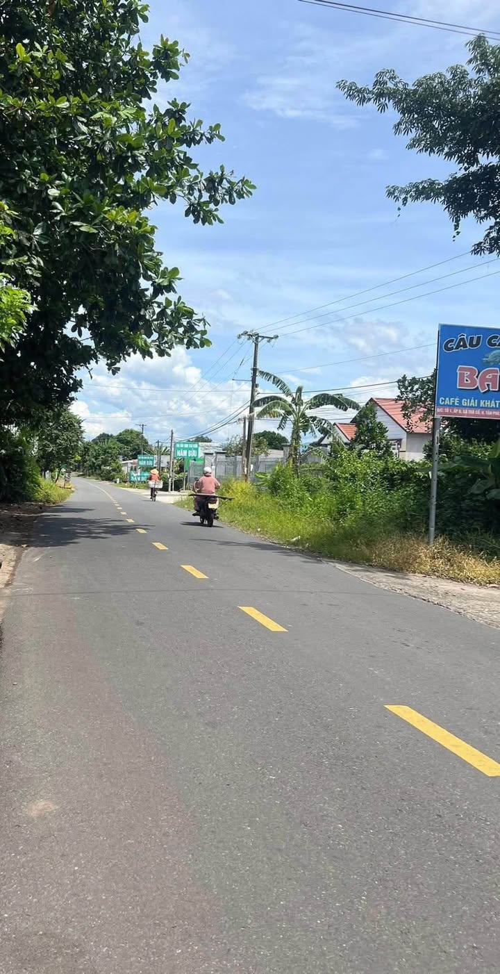 Đất thổ cư Trà Cổ, Tân Phú 318m² giá 1.4 tỷ - Cơ hội đầu tư tuyệt vời!