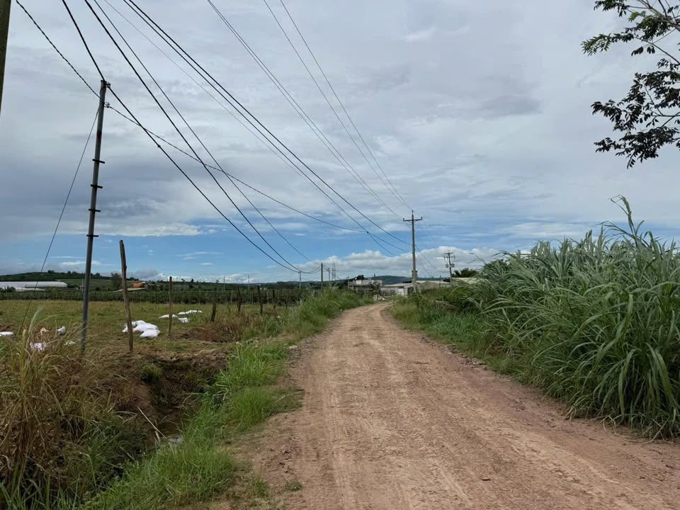 Đất thổ cư 4 sào tại xã Bình Thạnh, Đức Trọng, Lâm Đồng - Giá 3.65 tỷ, mặt tiền 65m