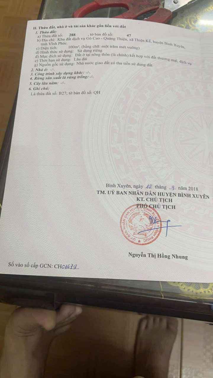 Đất nền Thiện Kế, Bình Xuyên 100m² - Tiềm năng đầu tư lớn!