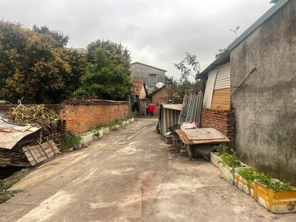 Đất nền Hội Hợp Vĩnh Yên 110m² giá 1.2 tỷ - Đường ô tô vào tận nơi!