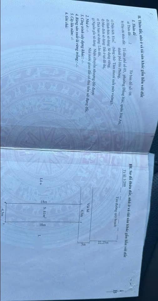 Đất mặt đường Bùi Viện, Hải An, Hải Phòng 81m² giá 5.67 tỷ - Cơ hội đầu tư hấp dẫn!