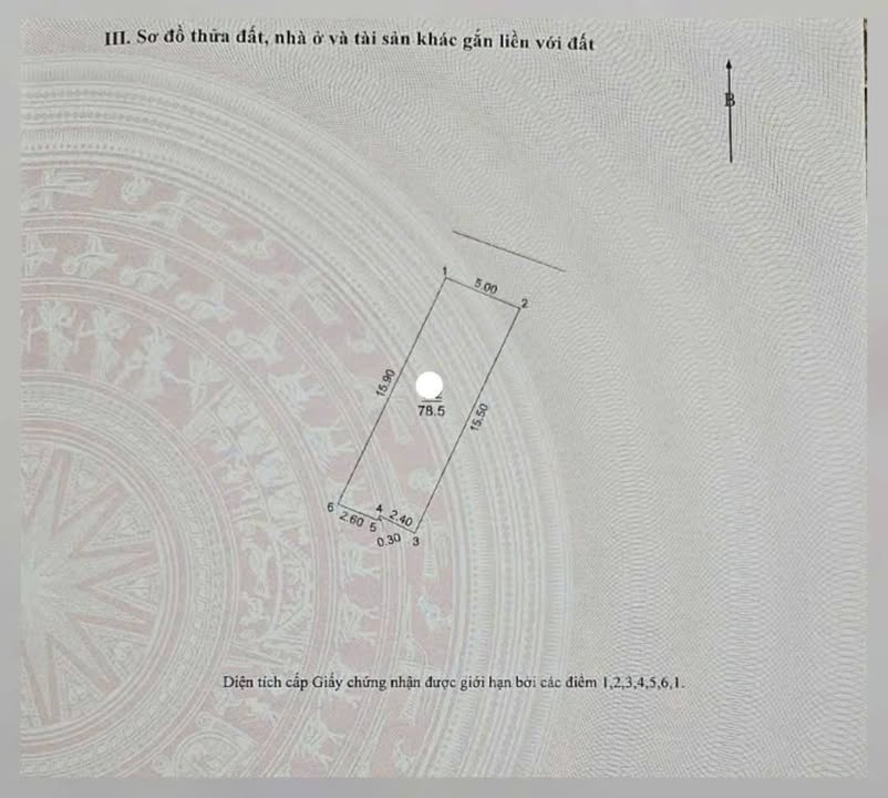 Đất nền Thụy Lâm Đông Anh 78m² giá 4.68 tỷ - Đầu tư sinh lời ngay!