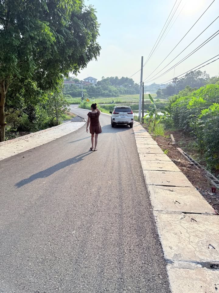 Đất liền kề tại Thanh Đình, Việt Trì 123m² - Sổ đỏ chính chủ, giá chỉ 1.8 tỷ!