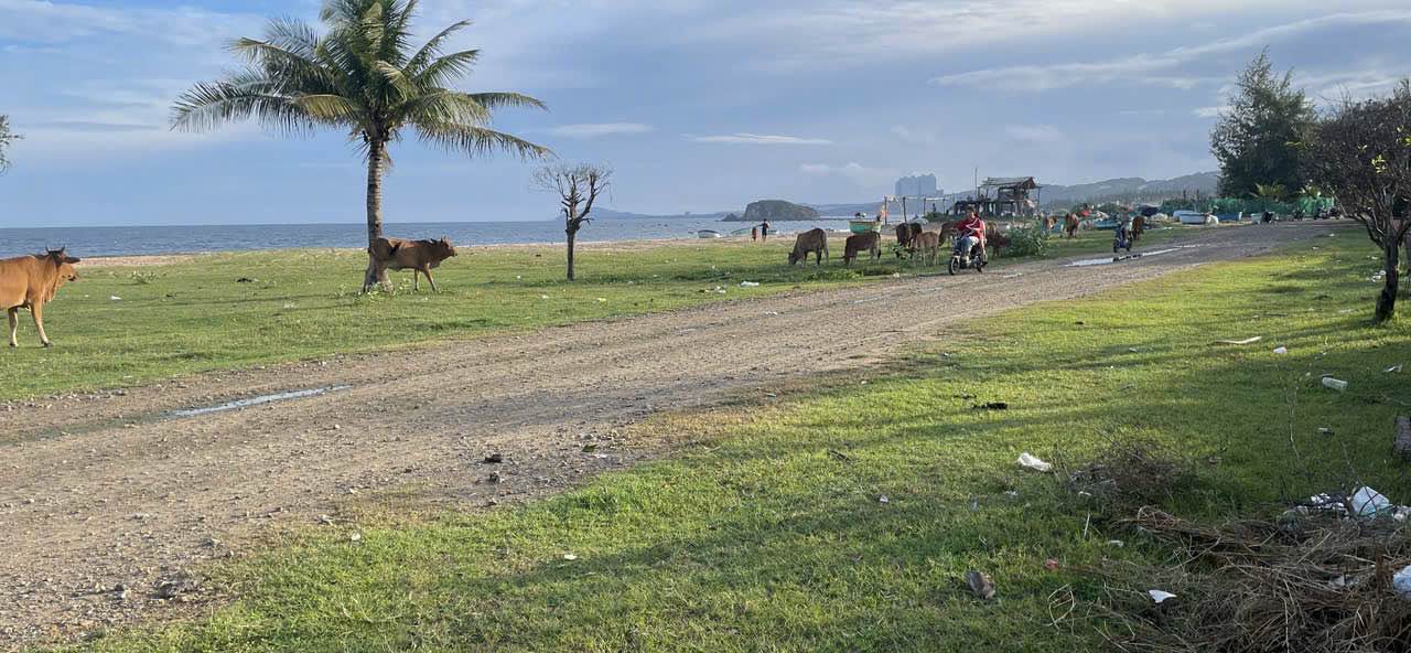 Đất mặt biển Hòa Thắng, Bắc Bình, 1740m² - Cơ hội đầu tư tuyệt vời!