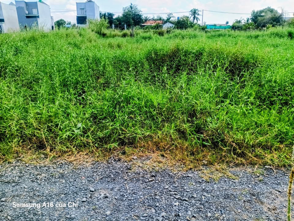 Đất thổ cư mặt tiền đường Rừng Dầu, Đức Hòa, Long An 72m² giá chỉ 720 triệu - Cơ hội đầu tư tuyệt vời!