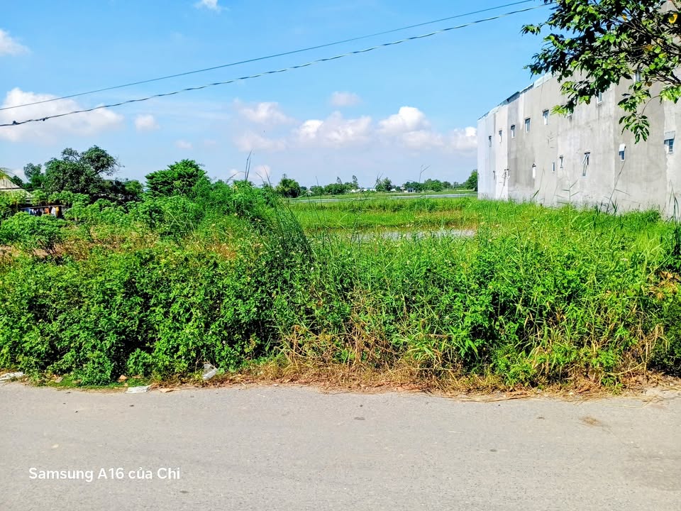 Đất nền mặt tiền đường Trương Tấn Sang, Đức Hòa, Long An 1056m² giá 11.5 tỷ - Đầu tư sinh lời ngay!