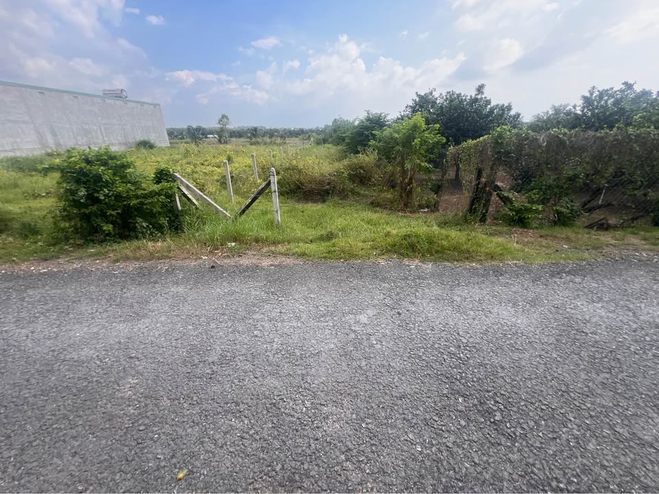 Đất nền ấp Phước Đông, Gò Dầu 293m² giá 750 triệu - Đầu tư sinh lời ngay!