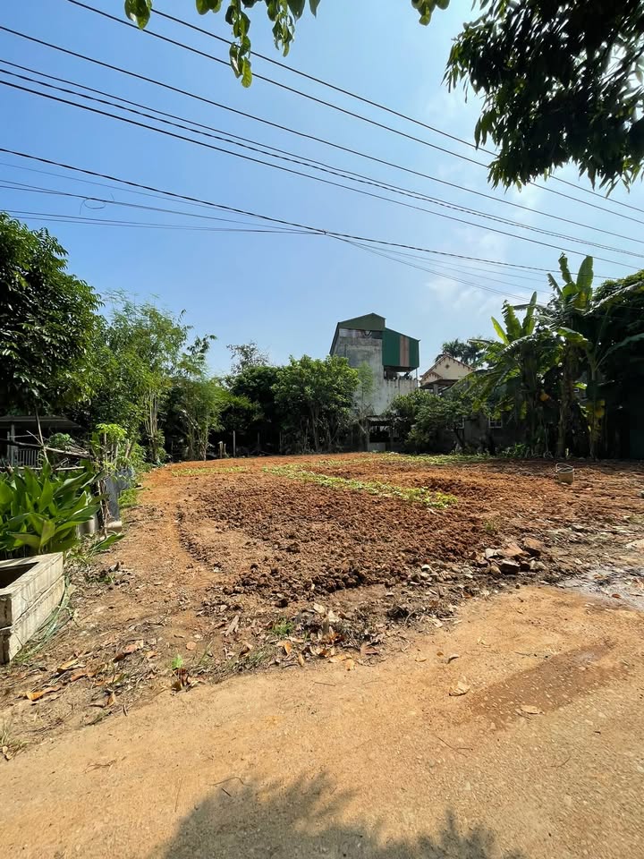 Đất nền đường Trần Toại, Việt Trì 100m² giá 1 tỷ - Đầu tư sinh lời tốt!