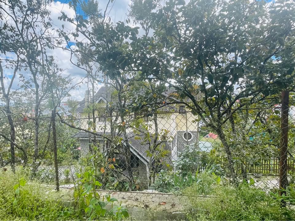 Đất mặt tiền đường Lê Hồng Phong, Đà Lạt 1500m² - Cơ hội đầu tư khách sạn 4-5 sao!