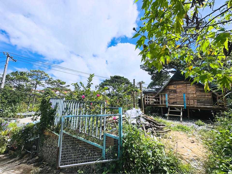 Nhà gỗ view đẹp tại Đà Lạt 100m² giá 1.2 tỷ - Đầu tư sinh lời ngay!