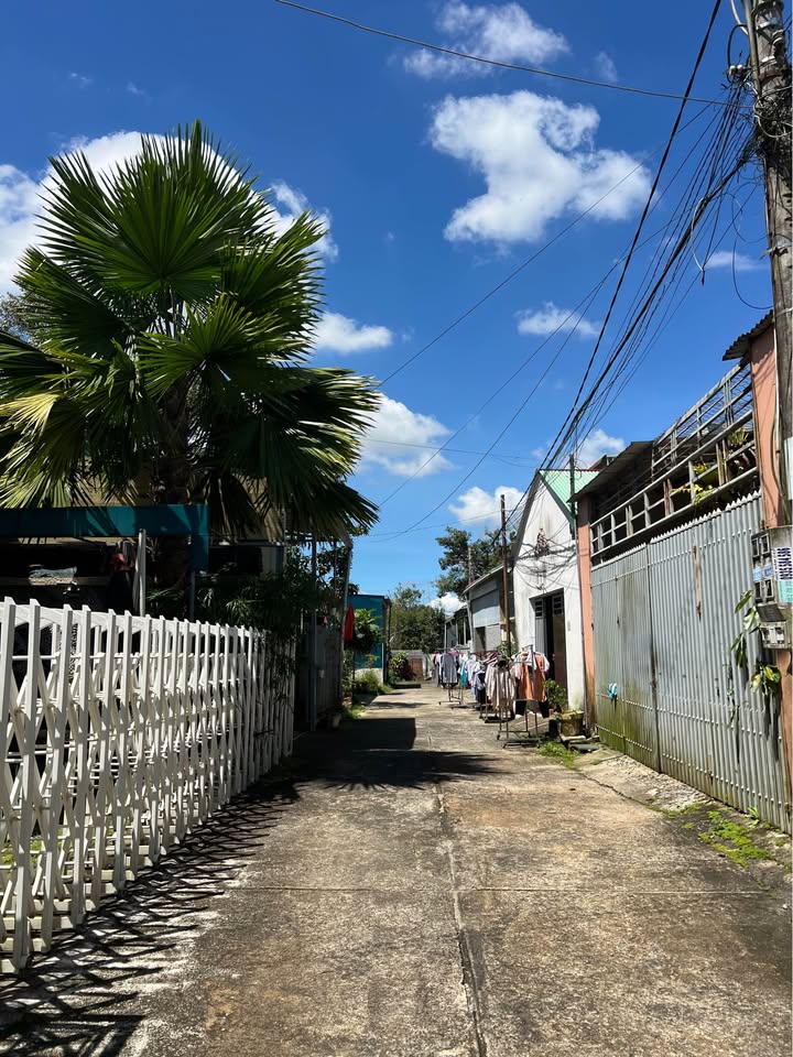 Đất hẻm 187 Bùi Thị Xuân Đà Lạt 138m² giá 2.6 tỷ - Đầu tư sinh lời hấp dẫn!