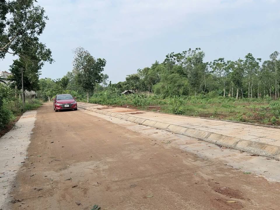 Đất thổ cư Thọ Phú 100m² giá chỉ 2xx triệu - Đầu tư sinh lời ngay!