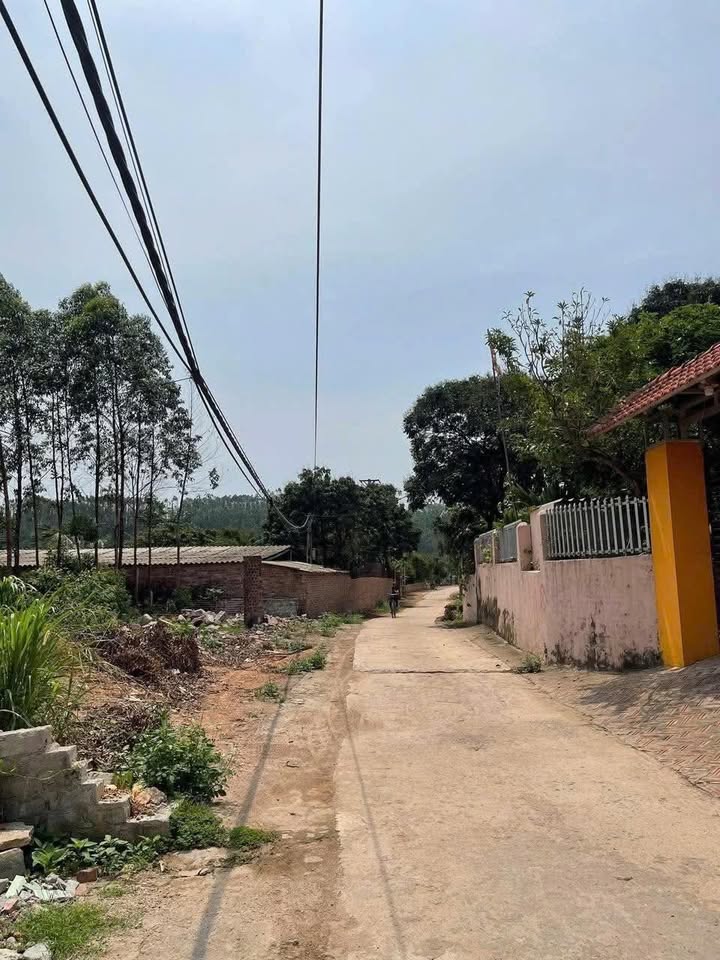 Đất nền Đan Hội, Lục Nam, Bắc Giang 102m² giá 400 triệu - Cơ hội đầu tư hấp dẫn!