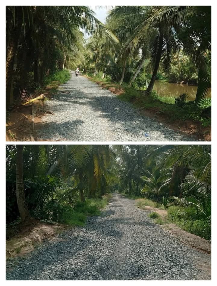 Đất nền Tân Thanh, Giồng Trôm 6400m² giá chỉ 300 triệu - Đầu tư sinh lời ngay!