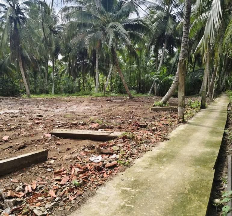 Đất nền Thạnh Ngãi 595m² giá 360 triệu - Sổ đỏ chính chủ, đường ô tô 7m