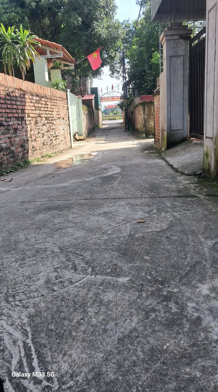 Đất nền Ninh Xá, Thuận Thành 55.5m² - Tiềm năng tăng giá cao!