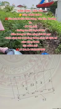 Đất nền Xâm Động, Vân Tảo 40m² giá 2 tỷ - Tiềm năng sinh lời cao!