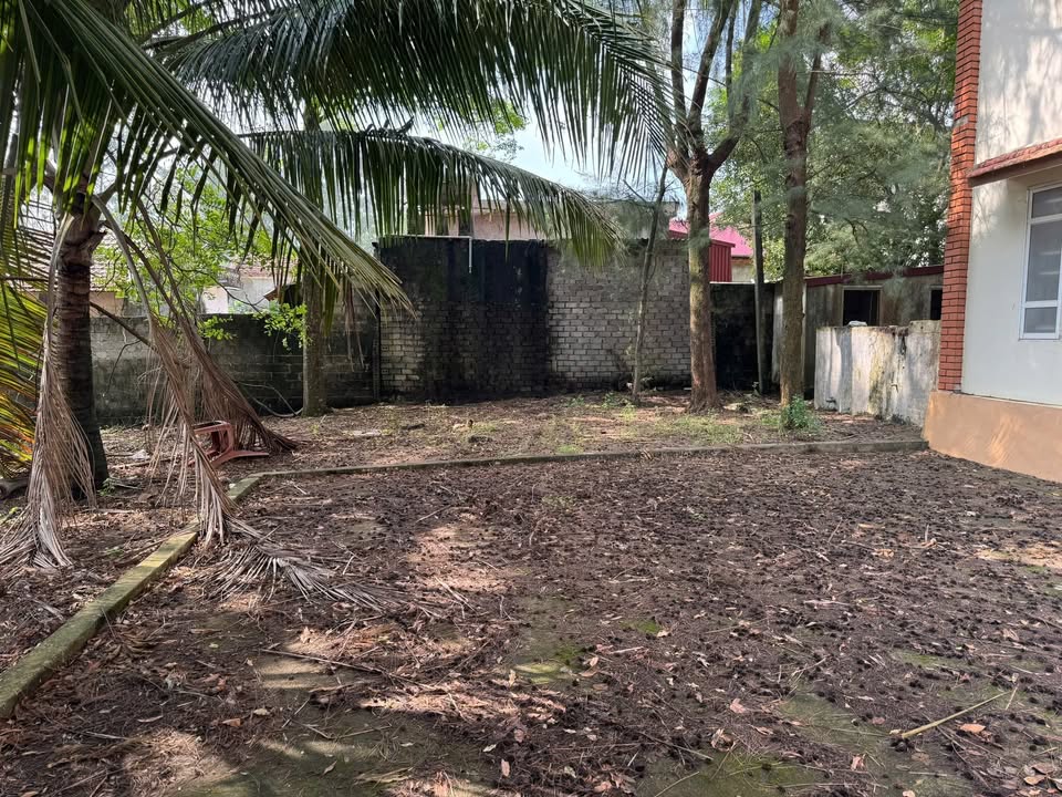 Đất mặt biển Tiên Trang 700m² chỉ 16 tỷ - Cơ hội kinh doanh vàng!