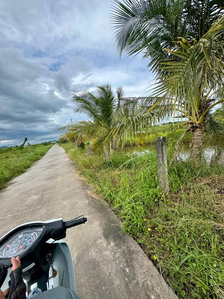 Đất nền 1.200m² tại Hàm Liêm, Bình Thuận - Sổ hồng đầy đủ, giá chỉ 600 triệu!