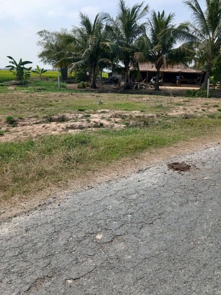 Đất nền Bến Cầu Tây Ninh 191m² giá 450 triệu - Cơ hội đầu tư hấp dẫn!