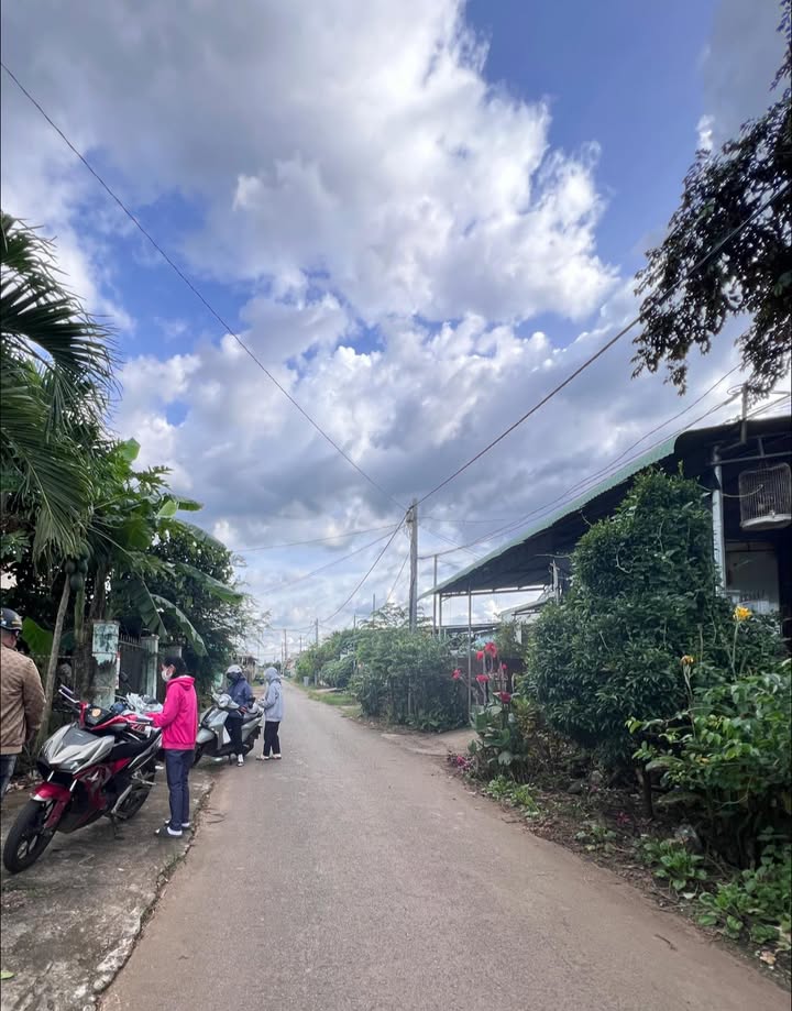 Đất nền Bảo Vinh Long Khánh 100m² giá chỉ 290 triệu - Sổ hồng đầy đủ!