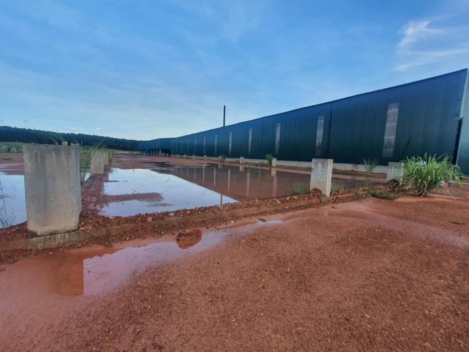 Nhà xưởng cho thuê tại Đồng Hới 1250m² - Sẵn sàng vận hành ngay!