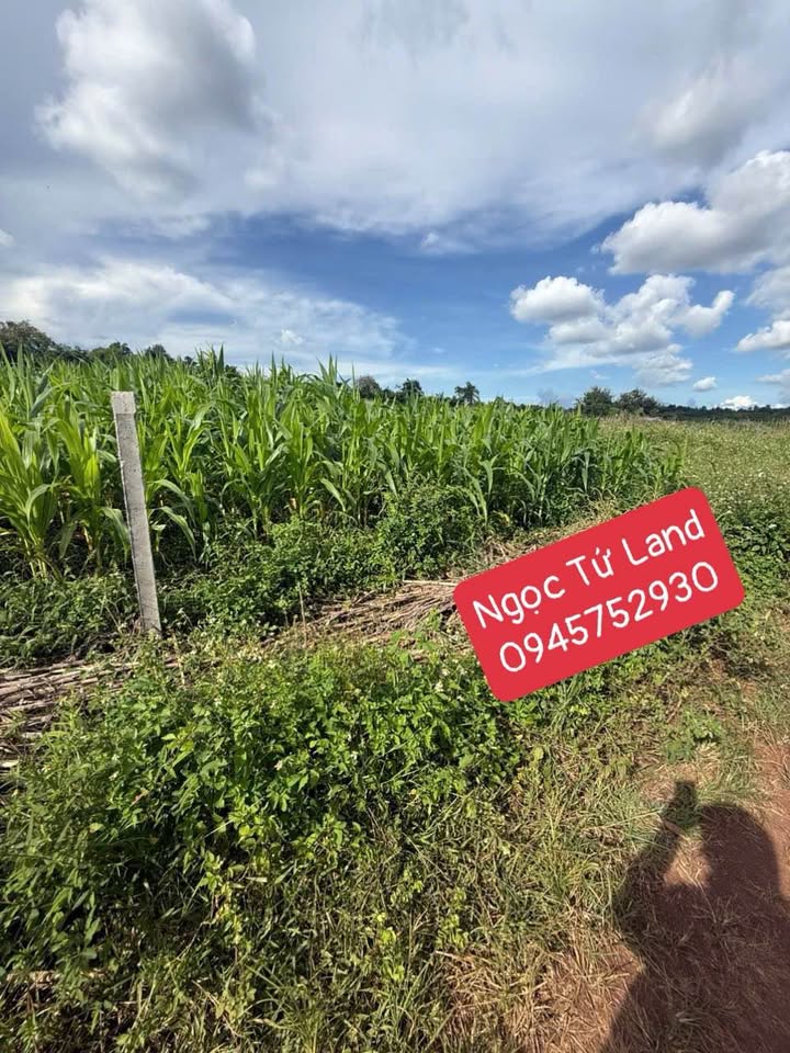 Đất nền 500m² phường Buôn Ma Thuột giá chỉ 350 triệu - Đầu tư sinh lời ngay!