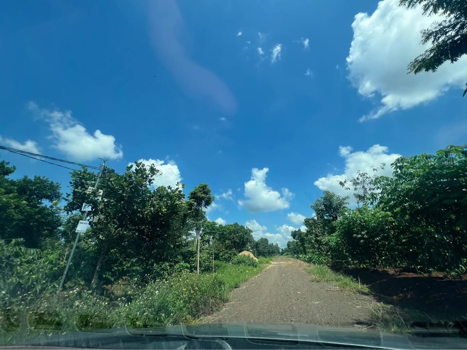 Đất Ea Kao 145m² giá 669 triệu - Đầu tư sinh lời ngay!