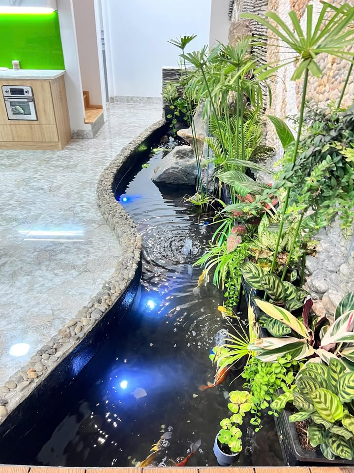 Nhà 1 trệt 1 lầu tại Hẻm 327 Y Moan, Buôn Ma Thuột 110m² - Giá chỉ 1.95 tỷ!