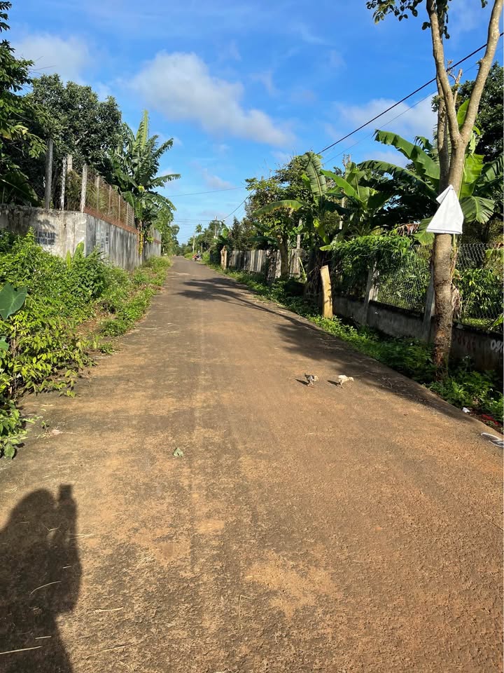 Đất nền Ea Kao Buôn Ma Thuột 402m² giá chỉ 790 triệu - Vị trí tiềm năng cho đầu tư!